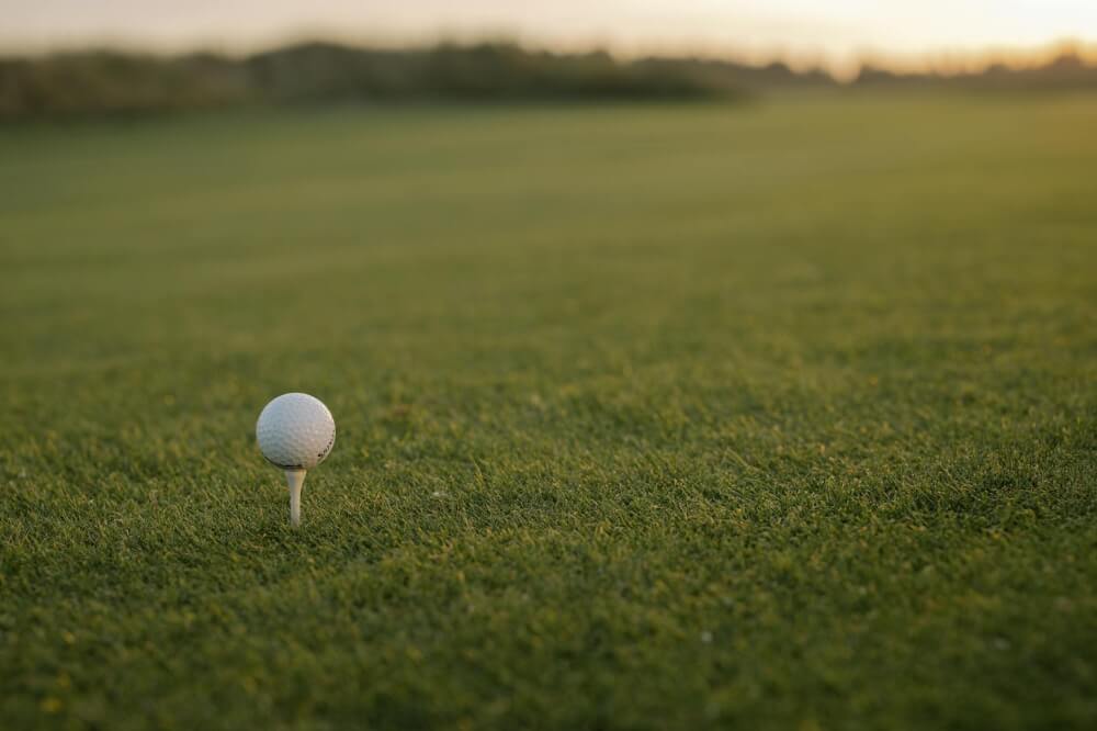 a golf ball on the grass