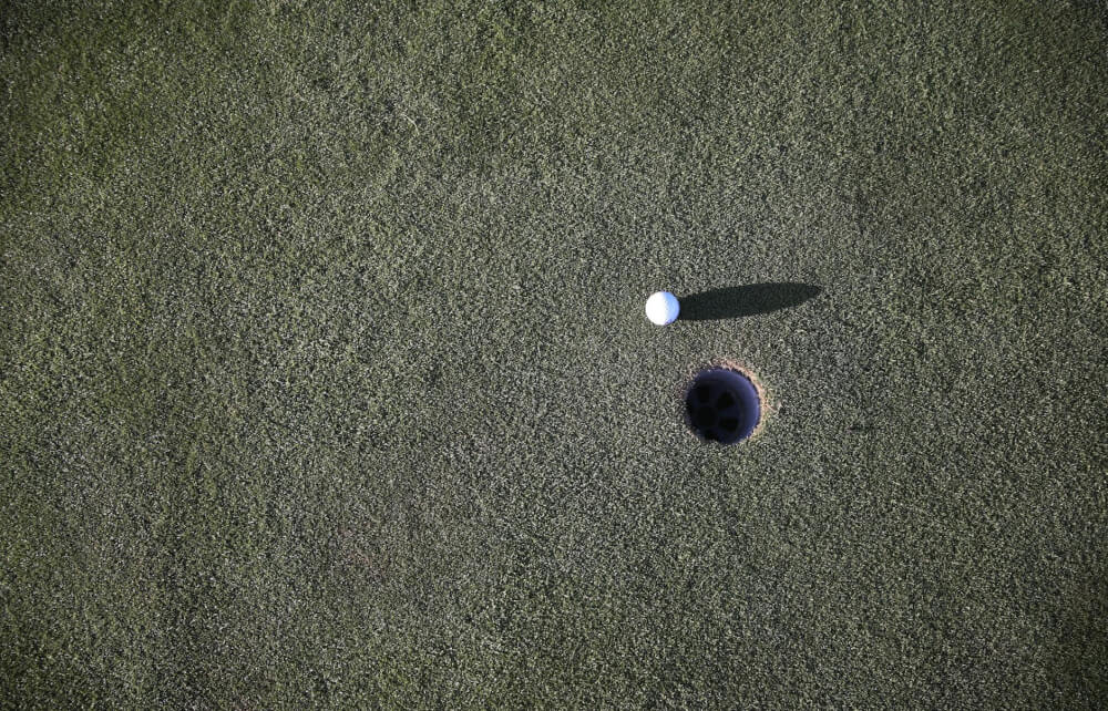 white round medication pill on green grass field